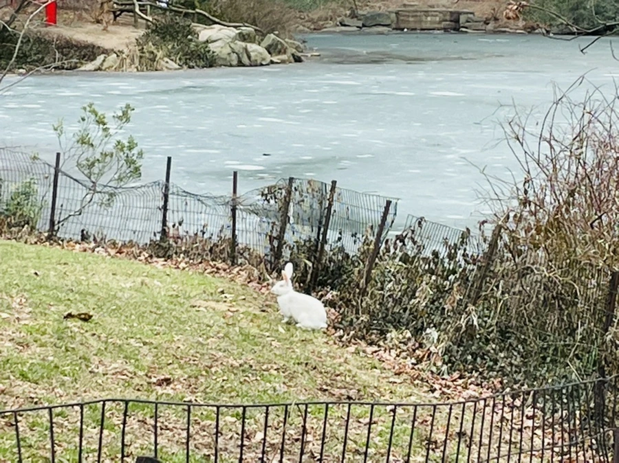 IMG_0627.jpg?type=w966