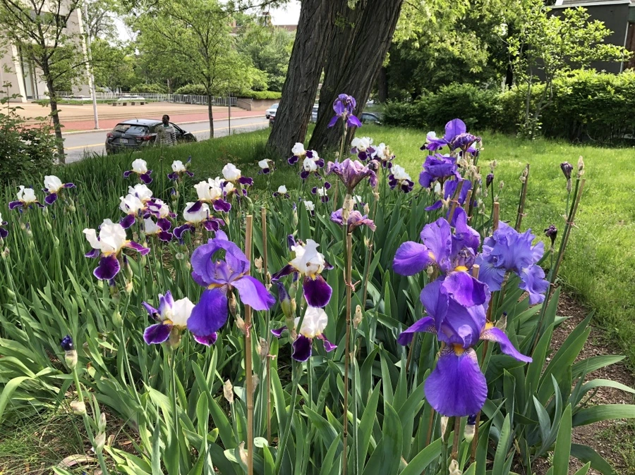 IMG_5454.jpg?type=w966