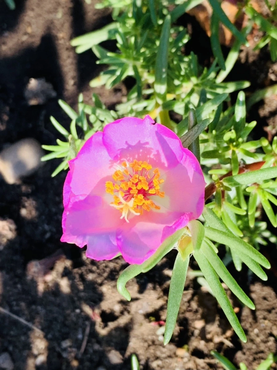 IMG_8418.jpg?type=w966