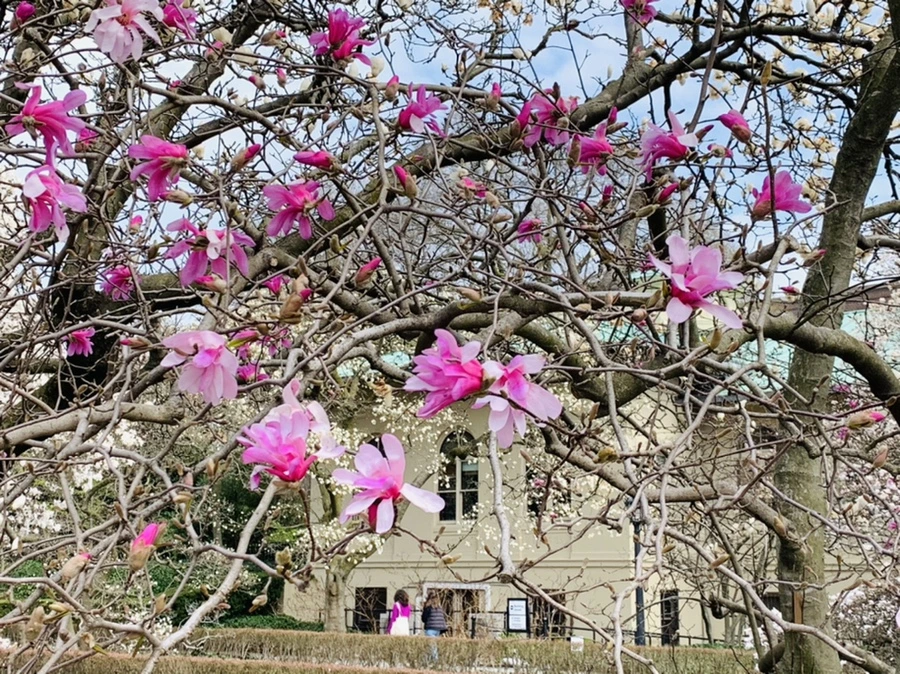 IMG_7228.jpg?type=w966