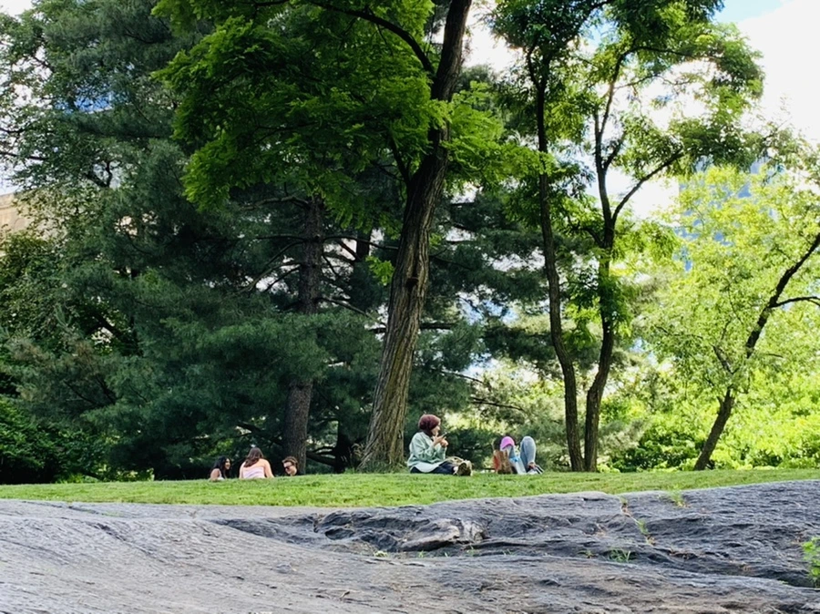 IMG_6478.jpg?type=w966