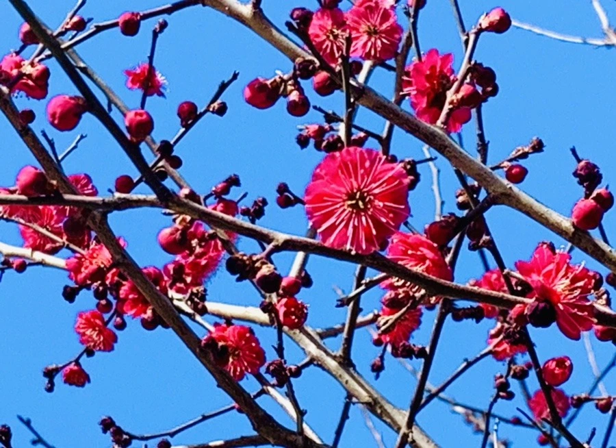 f7dZwOky1mfh8JJuRxIeOk7F-bU