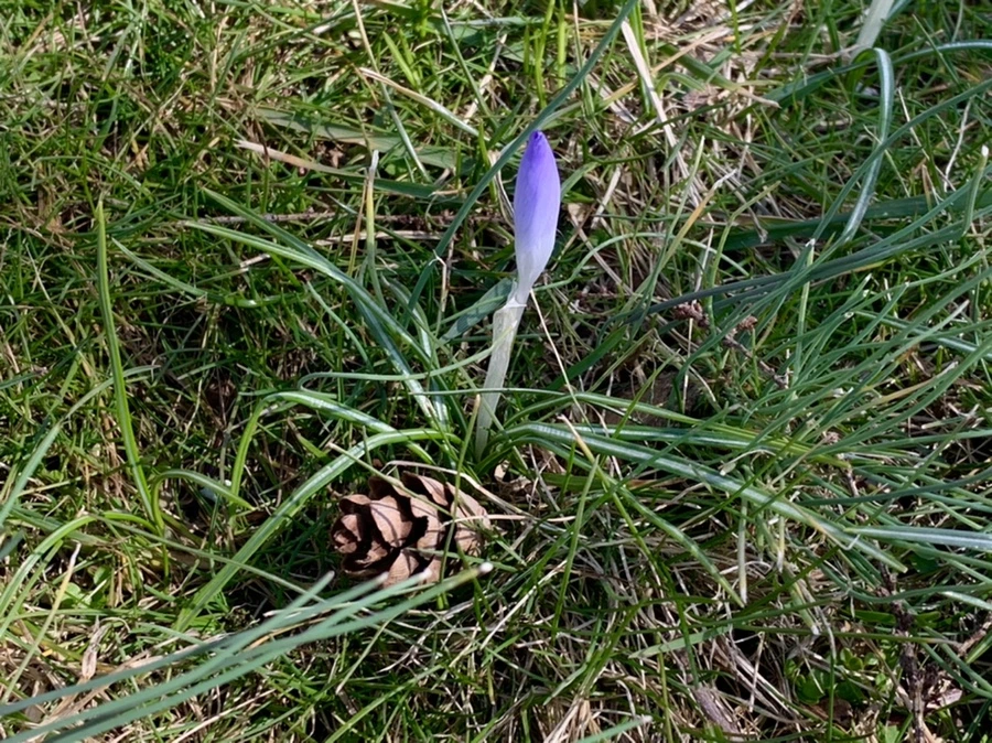 IMG_7466.jpg?type=w966