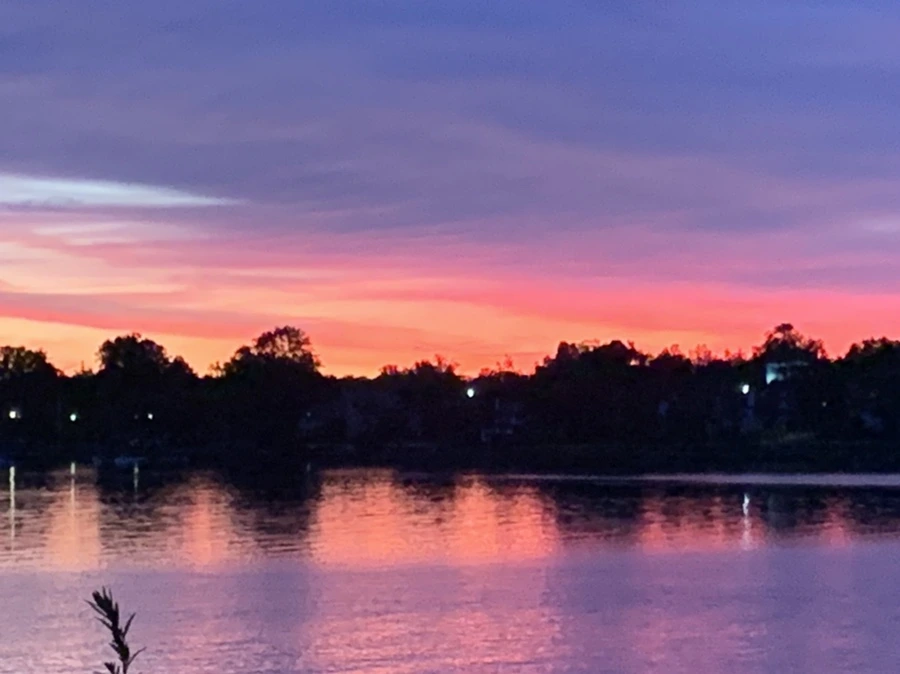 IMG_5774.jpg?type=w966