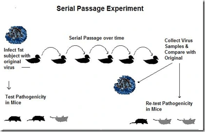 image4.png?resize=421%2C271