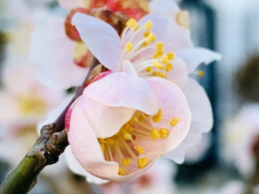 IMG_0876.jpg?type=w966