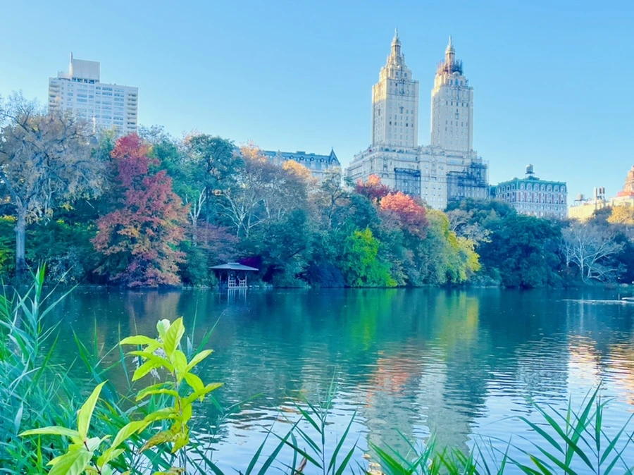 IMG_1410.jpg?type=w966