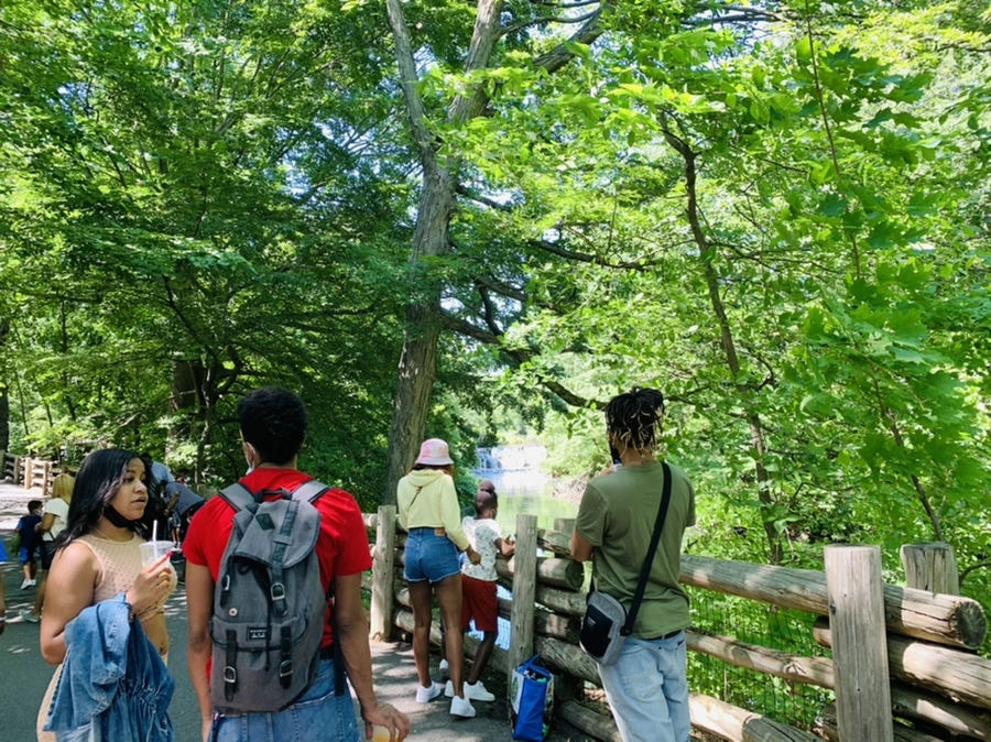 IMG_4256.jpg?type=w966