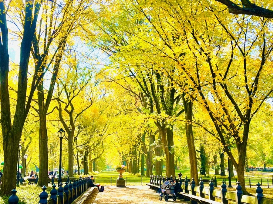 IMG_1594.jpg?type=w966