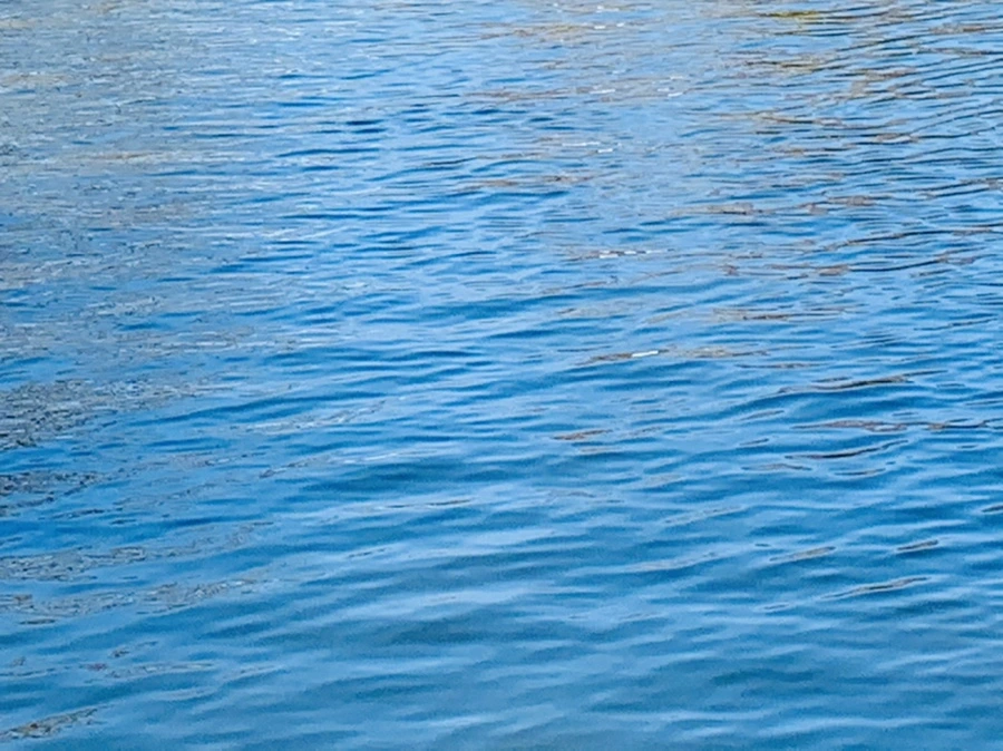 IMG_9950.jpg?type=w966