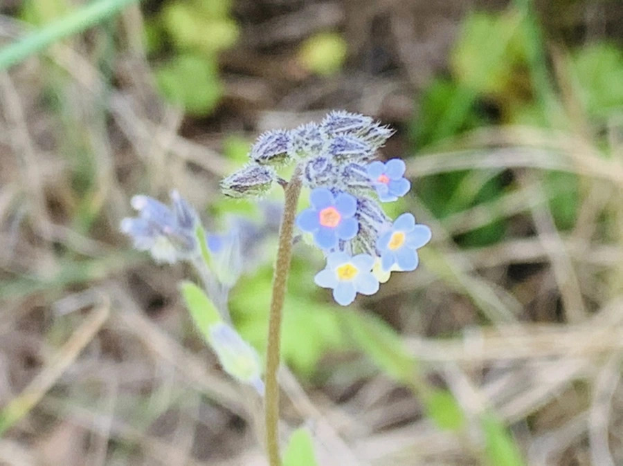 IMG_8661.jpg?type=w966