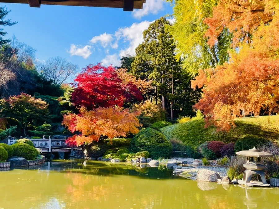 IMG_3047.jpg?type=w966