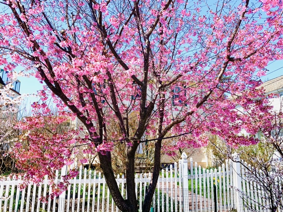 IMG_7636.jpg?type=w966