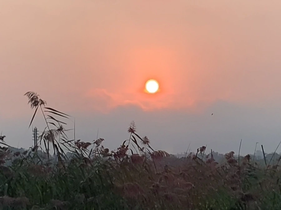 IMG_1144.jpg?type=w966