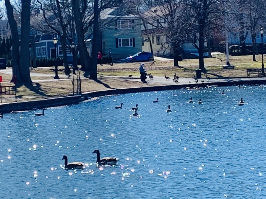 IMG_7592.jpg?type=w966