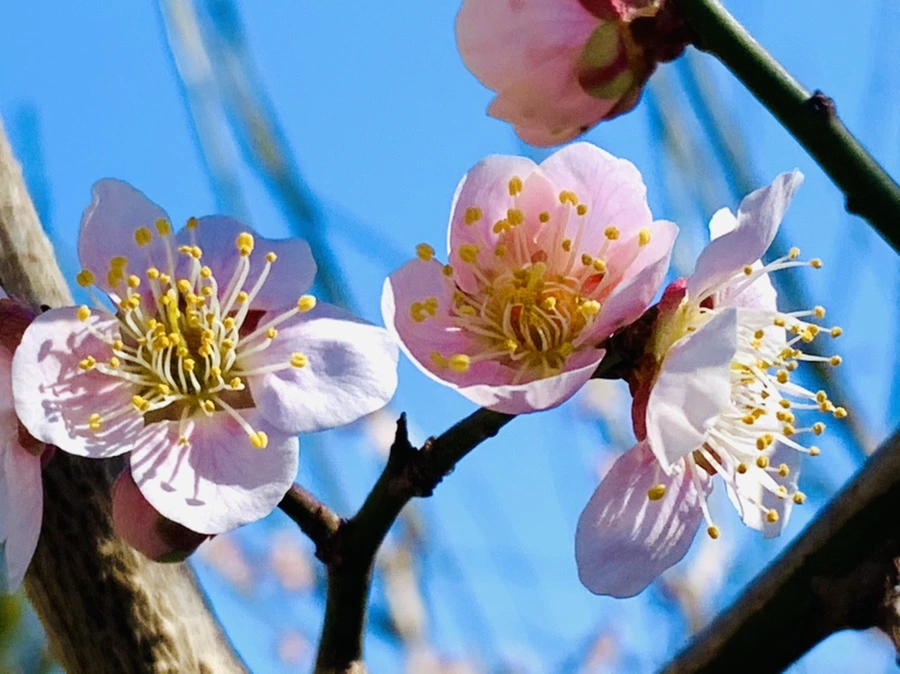 IMG_1352.jpg?type=w966