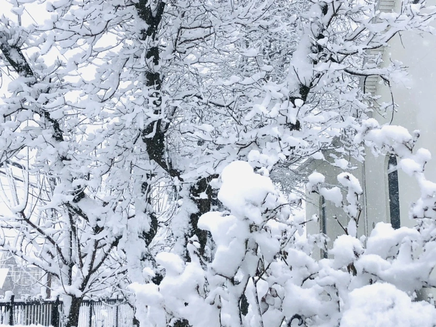 IMG_1038.jpg?type=w966