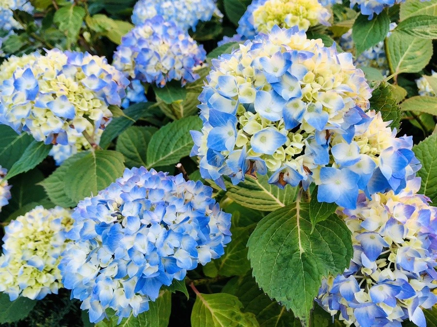 1XYVQRtKbm5Nyzrv9xaJcVm46BQ