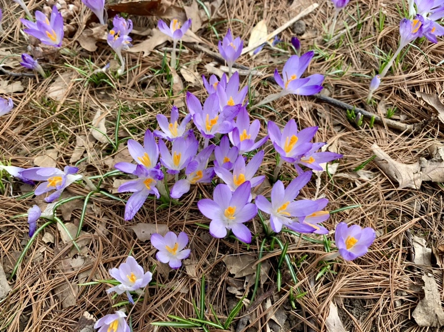 IMG_0434.jpg?type=w966