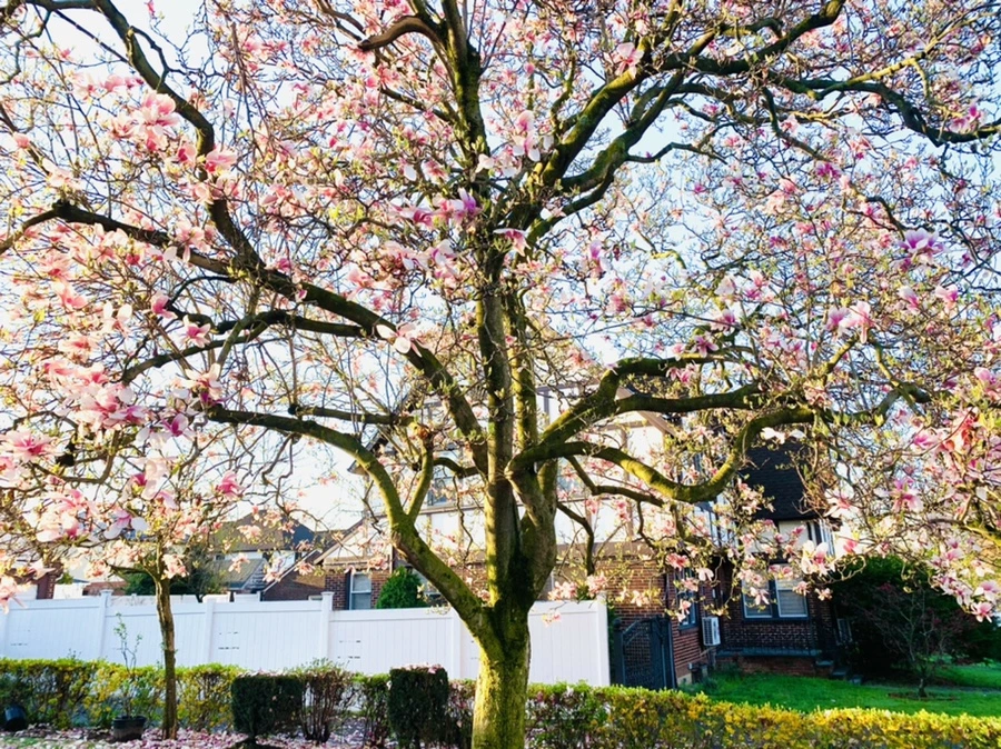 IMG_2427.jpg?type=w966