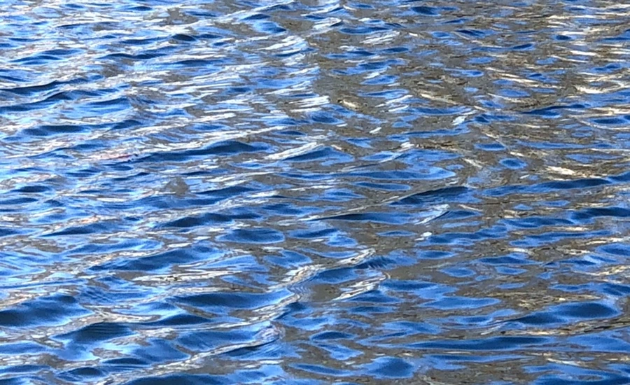 IMG_3890.jpg?type=w966