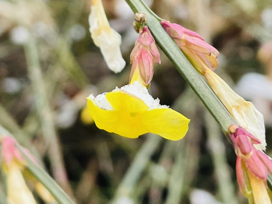 IMG_0741.jpg?type=w966