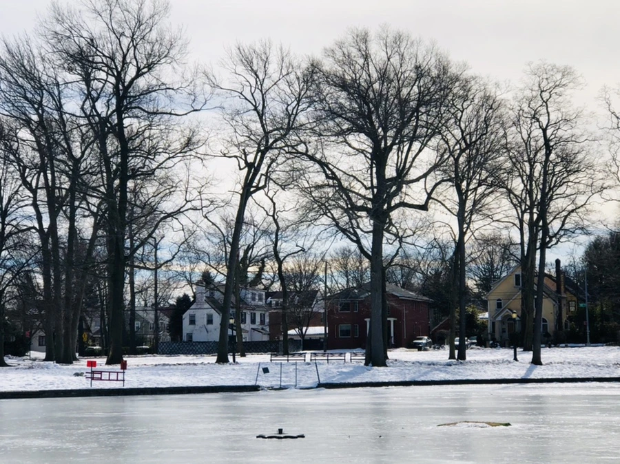 IMG_3099.jpg?type=w966