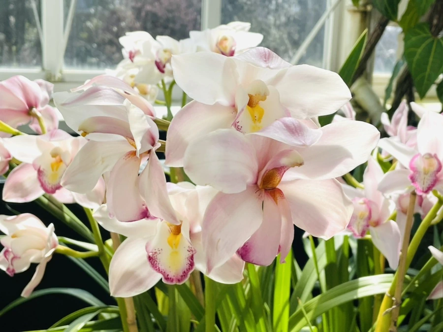 IMG_6421.jpg?type=w966