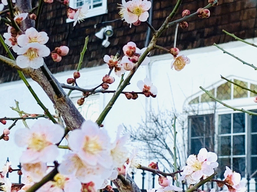 IMG_0893.jpg?type=w966