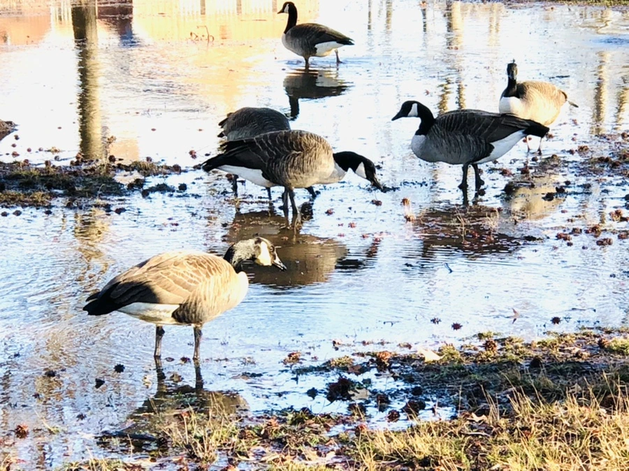 IMG_9288.jpg?type=w966