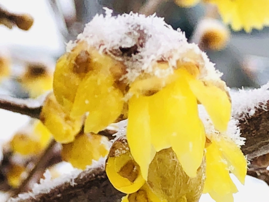 IMG_3531.jpg?type=w966