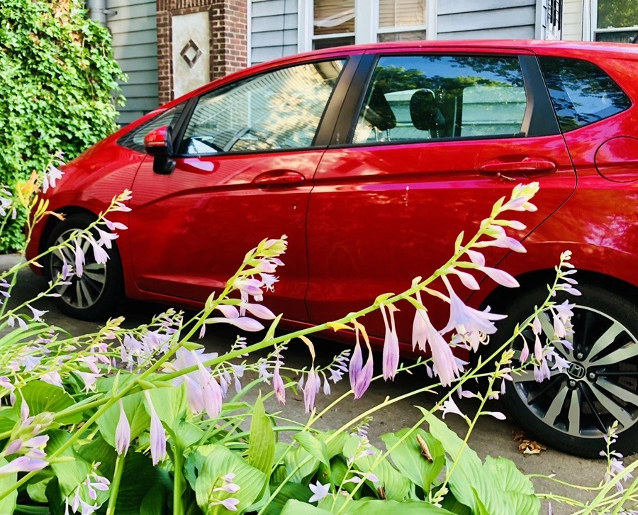 BkfZsqPvYyoZHaDw0-mtlfhNlvA