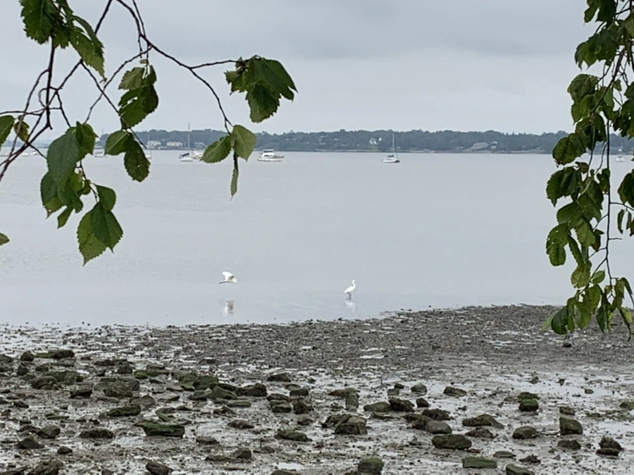 IMG_3714.jpg?type=w966