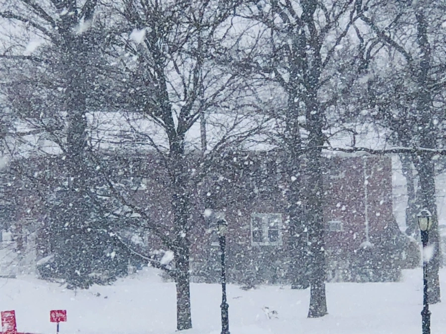 IMG_3375.jpg?type=w966