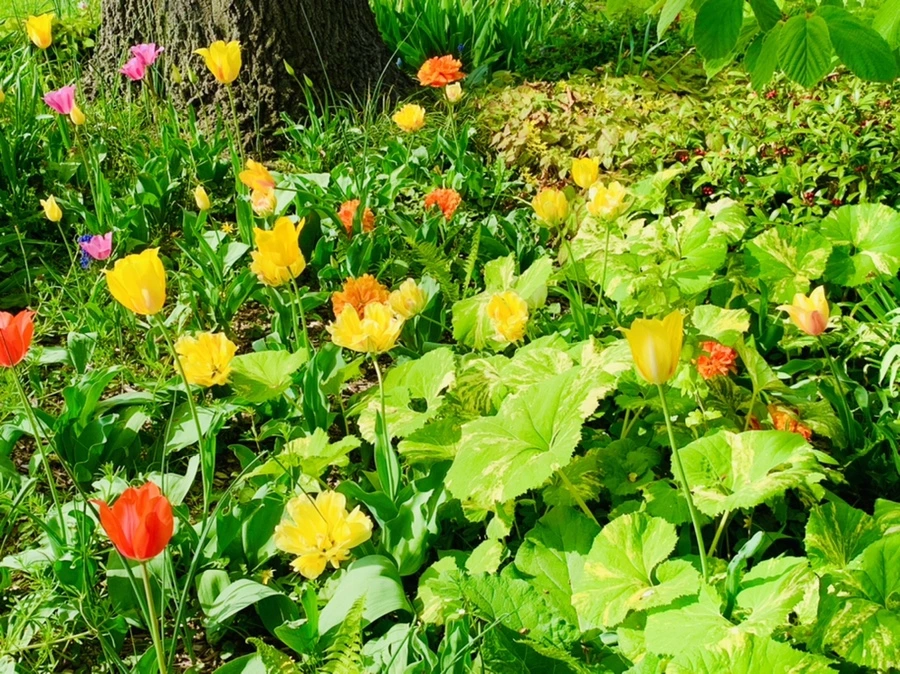 IMG_7046.jpg?type=w966