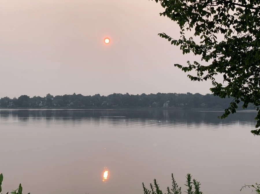 IMG_8091.jpg?type=w966