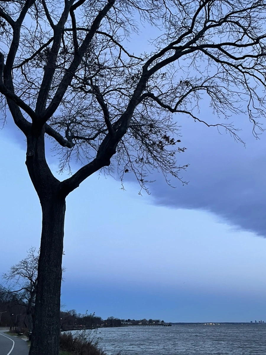 IMG_6551.jpg?type=w966