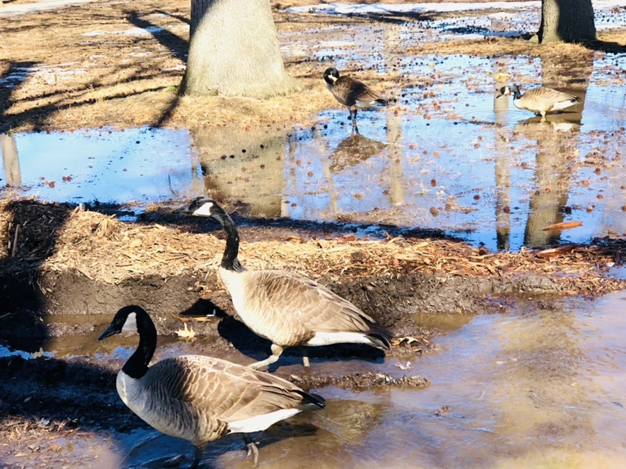 IMG_4664.jpg?type=w966