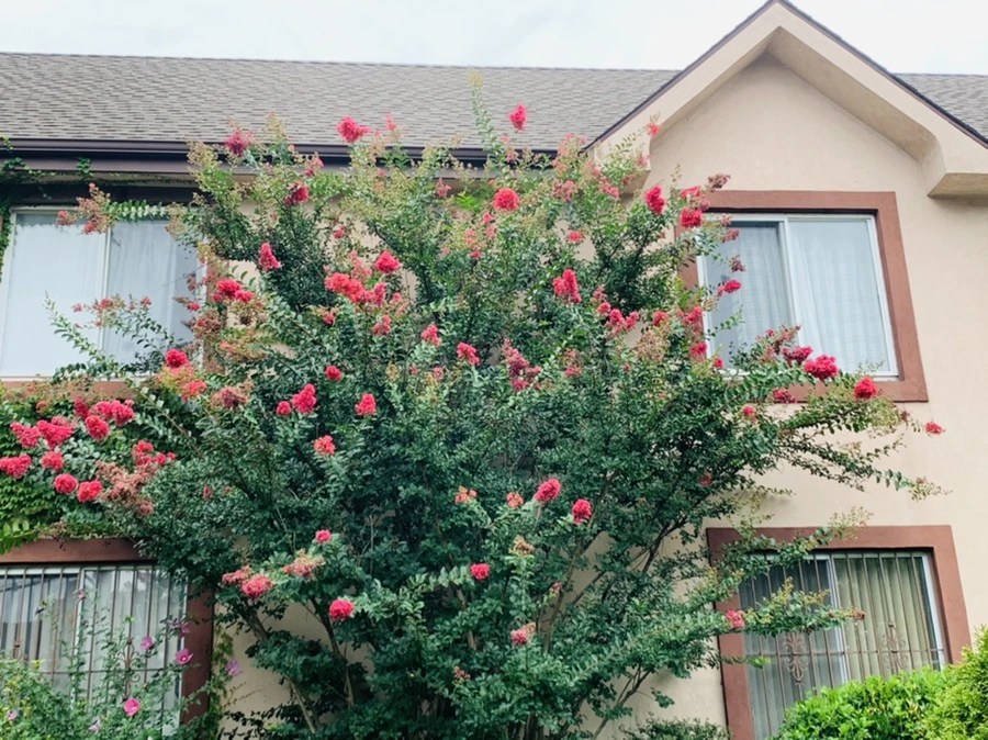 IMG_5936.jpg?type=w966