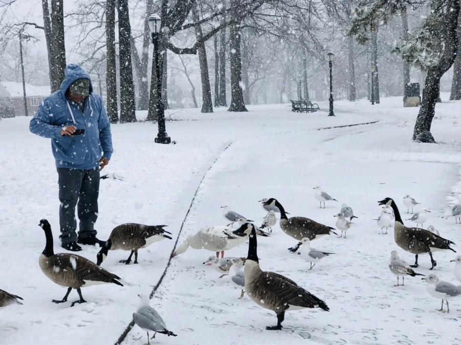 IMG_4179.jpg?type=w966