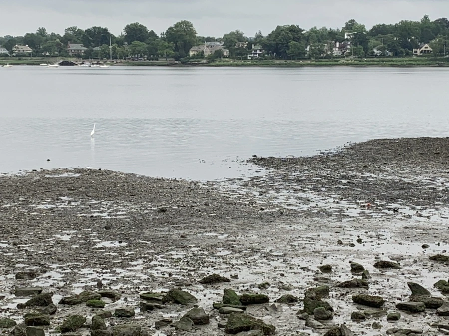 IMG_3696.jpg?type=w966