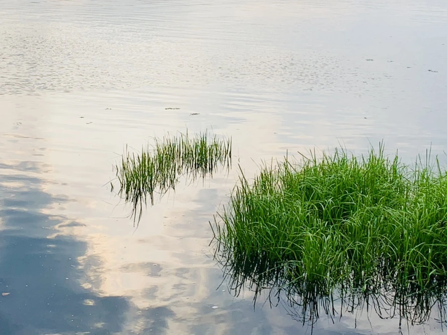 IMG_1608.jpg?type=w966