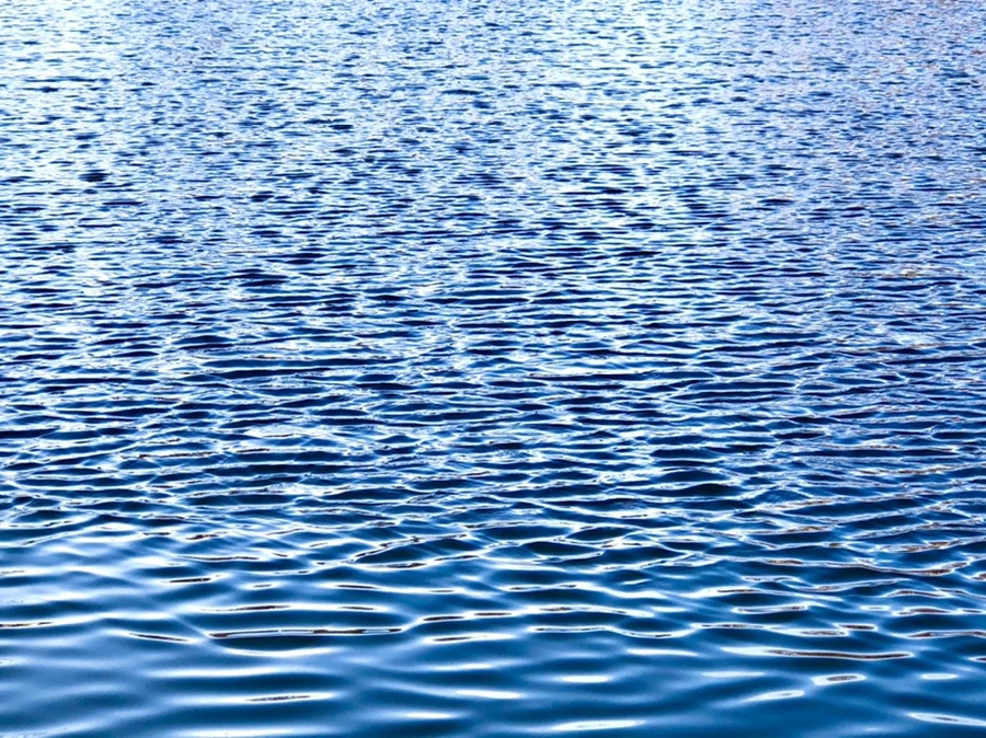 IMG_4269.jpg?type=w966