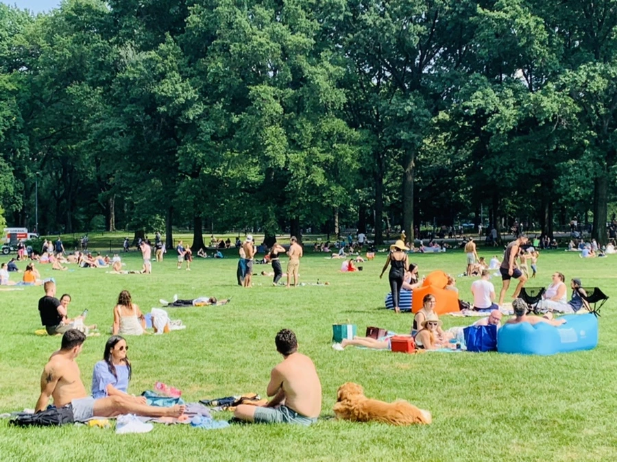 IMG_0596.jpg?type=w966