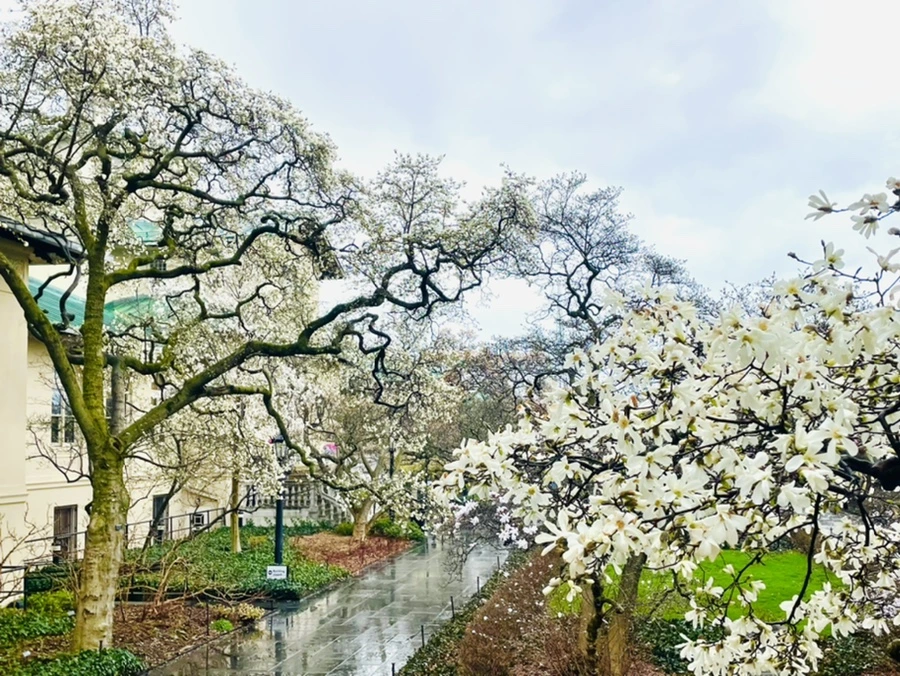 IMG_7354.jpg?type=w966