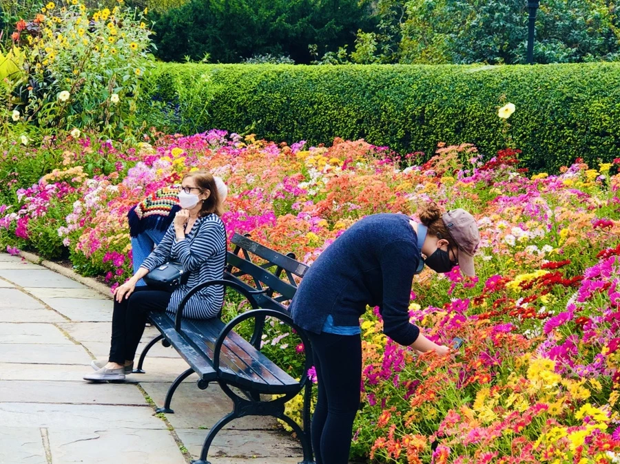 IMG_2528.jpg?type=w966