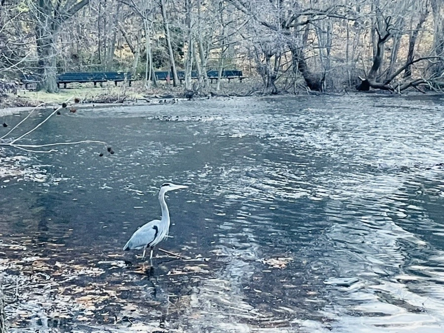 nKZscHHV7KhQtAwTcOl3nItMg20