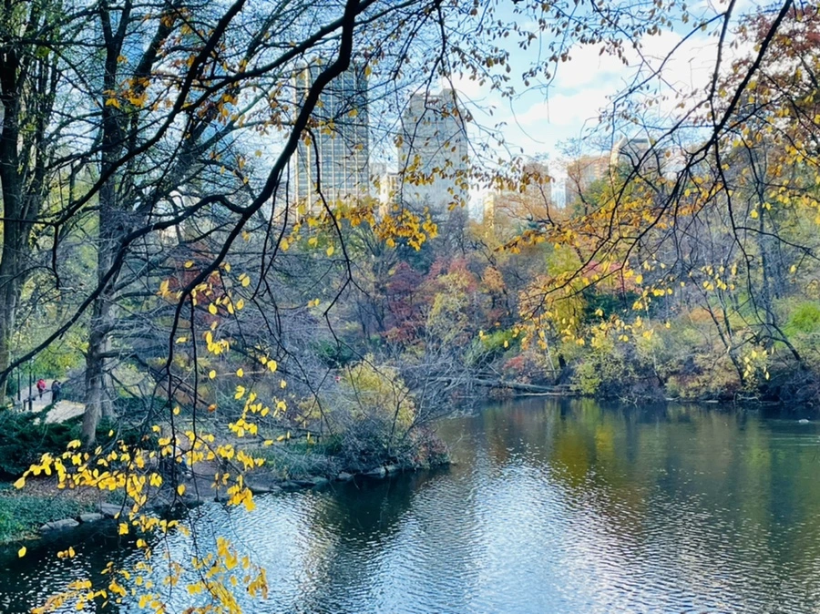 IMG_5004.jpg?type=w966