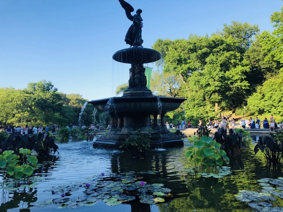 IMG_7400.jpg?type=w966