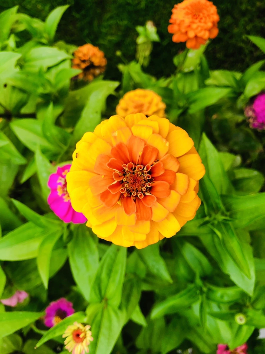 IMG_3639.jpg?type=w966